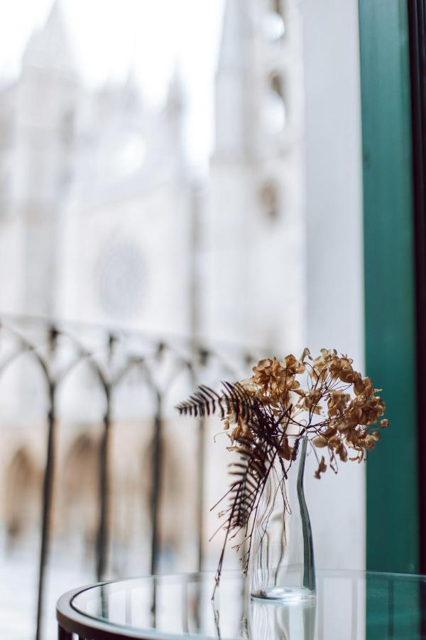 Отель Albany Ancha Леон Экстерьер фото Dried flowers