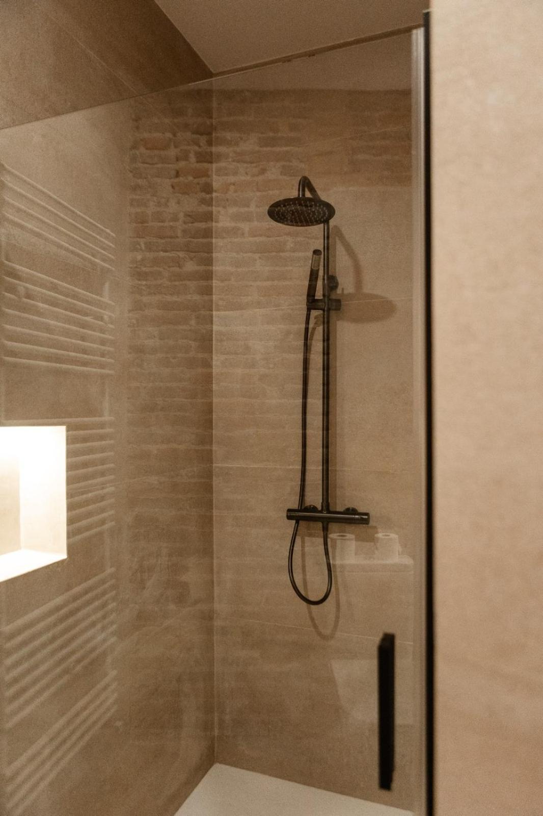 Отель Albany Ancha Леон Экстерьер фото A shower rail